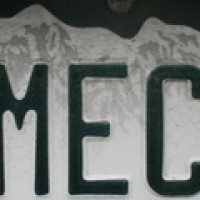 MEC's avatar