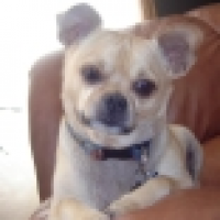 carpex's avatar