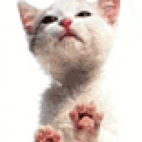 Darsa's avatar